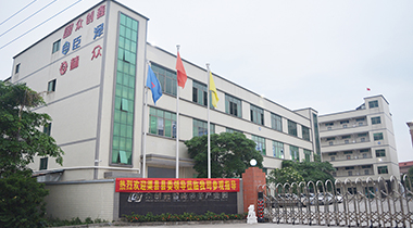 热烈欢迎渠县县委领导莅临我司参观指导！